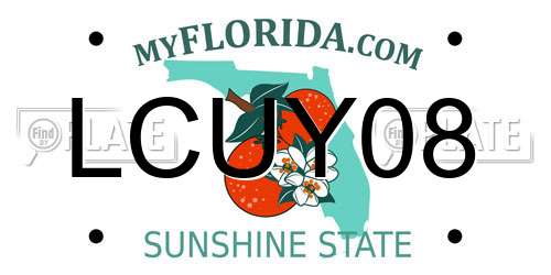 LCUY08 Florida License Plate