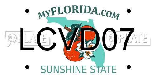 LCVD07 Florida License Plate