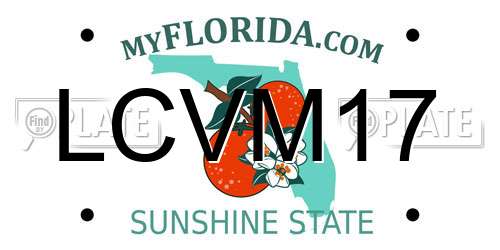 LCVM17 Florida License Plate