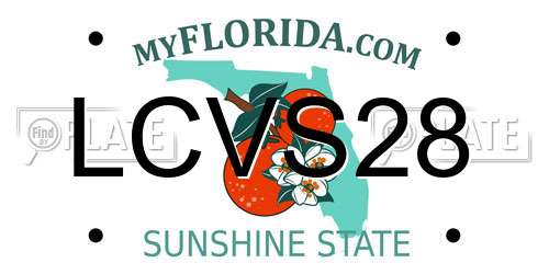 LCVS28 Florida License Plate