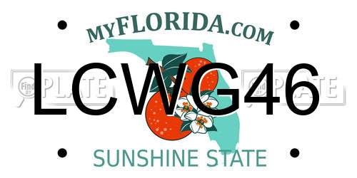 LCWG46 Florida License Plate