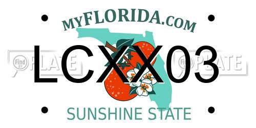 LCXX03 Florida License Plate