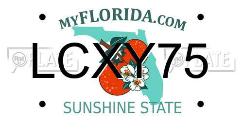 LCXY75 Florida License Plate