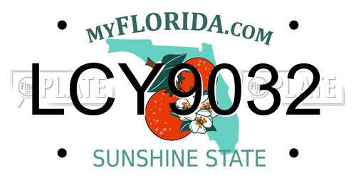 LCY9032 Florida License Plate