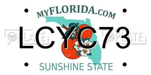 LCYC73 Florida License Plate