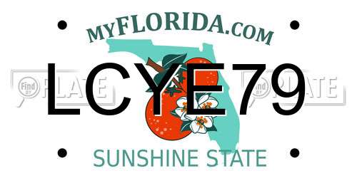 LCYE79 Florida License Plate