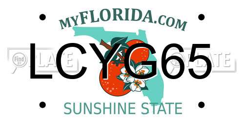 LCYG65 Florida License Plate