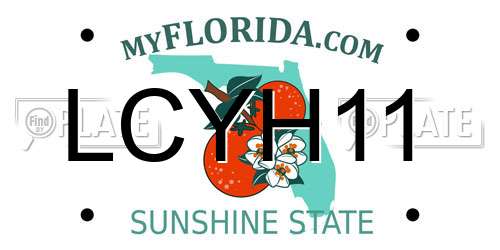 LCYH11 Florida License Plate