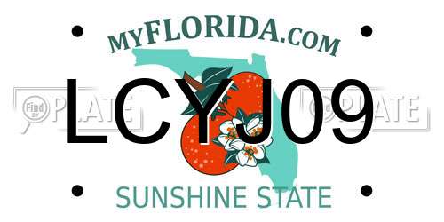 LCYJ09 Florida License Plate