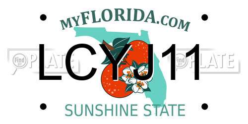 LCYJ11 Florida License Plate