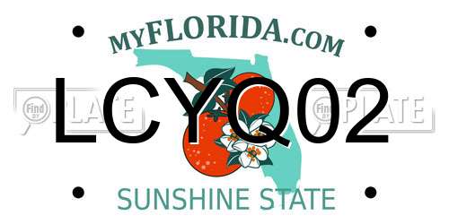 LCYQ02 Florida License Plate