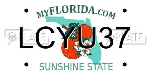 LCYU37 Florida License Plate