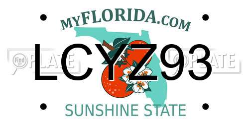 LCYZ93 Florida License Plate