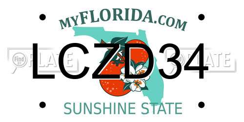 LCZD34 Florida License Plate