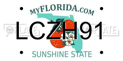 LCZH91 Florida License Plate