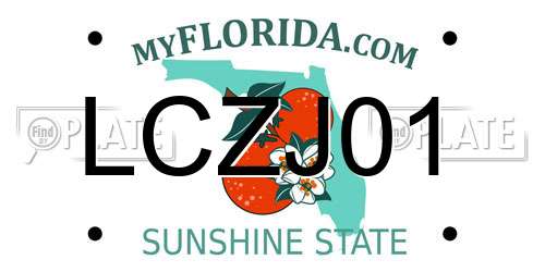 LCZJ01 Florida License Plate
