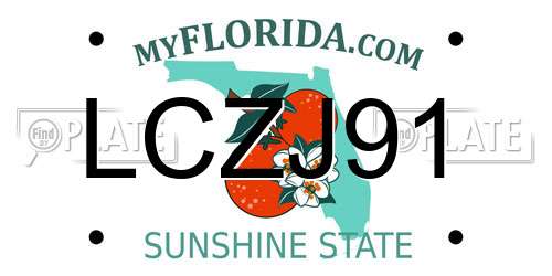 LCZJ91 Florida License Plate