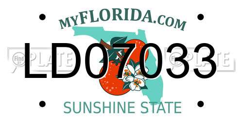 LD07033 Florida License Plate