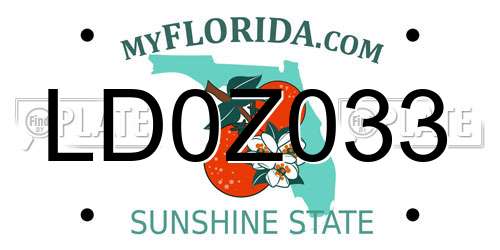 LD0Z033 Florida License Plate
