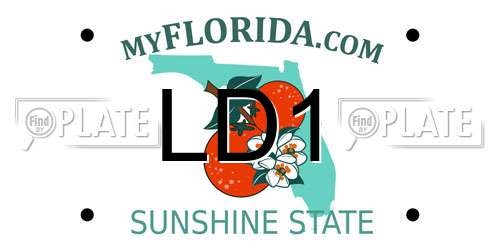 LD1 Florida License Plate