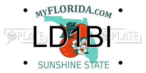 LD1BI Florida License Plate