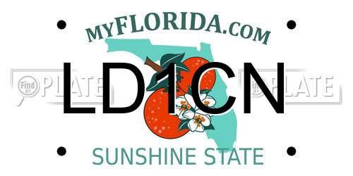 LD1CN Florida License Plate