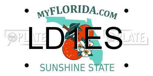 LD1ES Florida License Plate