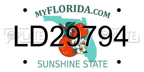 LD29794 Florida License Plate