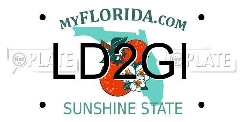 LD2GI Florida License Plate