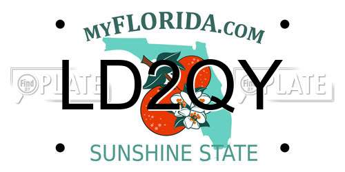 LD2QY Florida License Plate