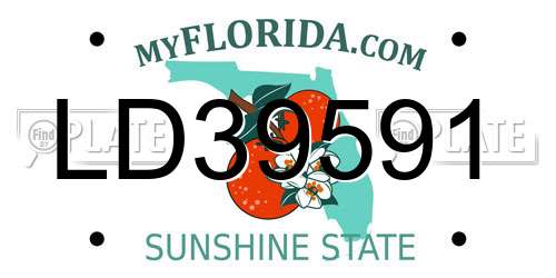 LD39591 Florida License Plate