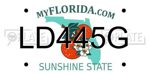 LD445G Florida License Plate
