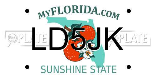 LD5JK Florida License Plate