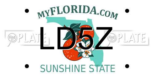 LD5Z Florida License Plate