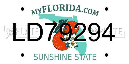LD79294 Florida License Plate