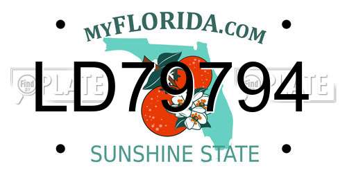 LD79794 Florida License Plate