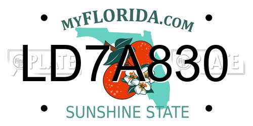 LD7A830 Florida License Plate