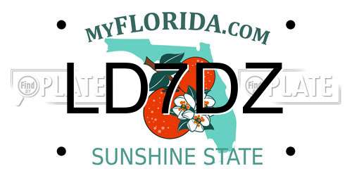 LD7DZ Florida License Plate