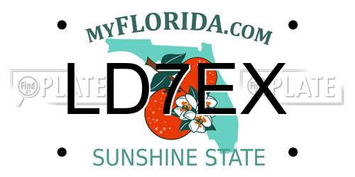 LD7EX Florida License Plate