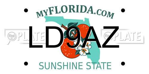 LD9AZ Florida License Plate