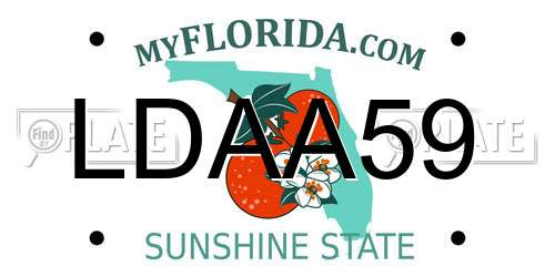 LDAA59 Florida License Plate