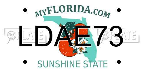 LDAE73 Florida License Plate