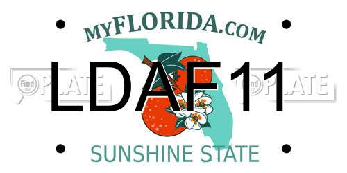 LDAF11 Florida License Plate