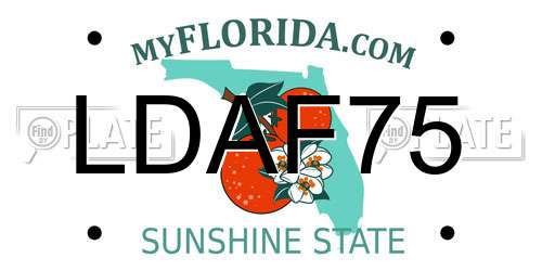 LDAF75 Florida License Plate