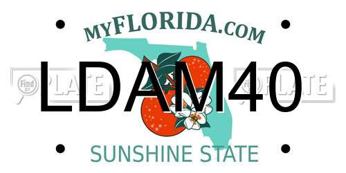 LDAM40 Florida License Plate