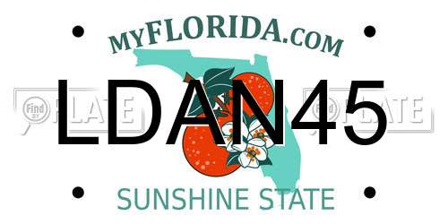 LDAN45 Florida License Plate