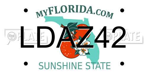 LDAZ42 Florida License Plate