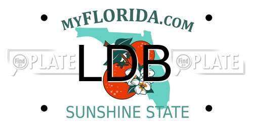 LDB Florida License Plate
