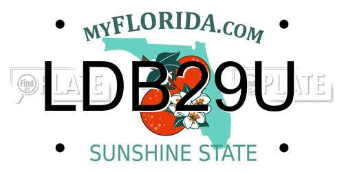 LDB29U Florida License Plate