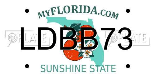 LDBB73 Florida License Plate